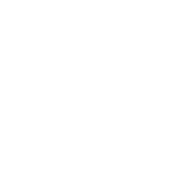 Somajigal